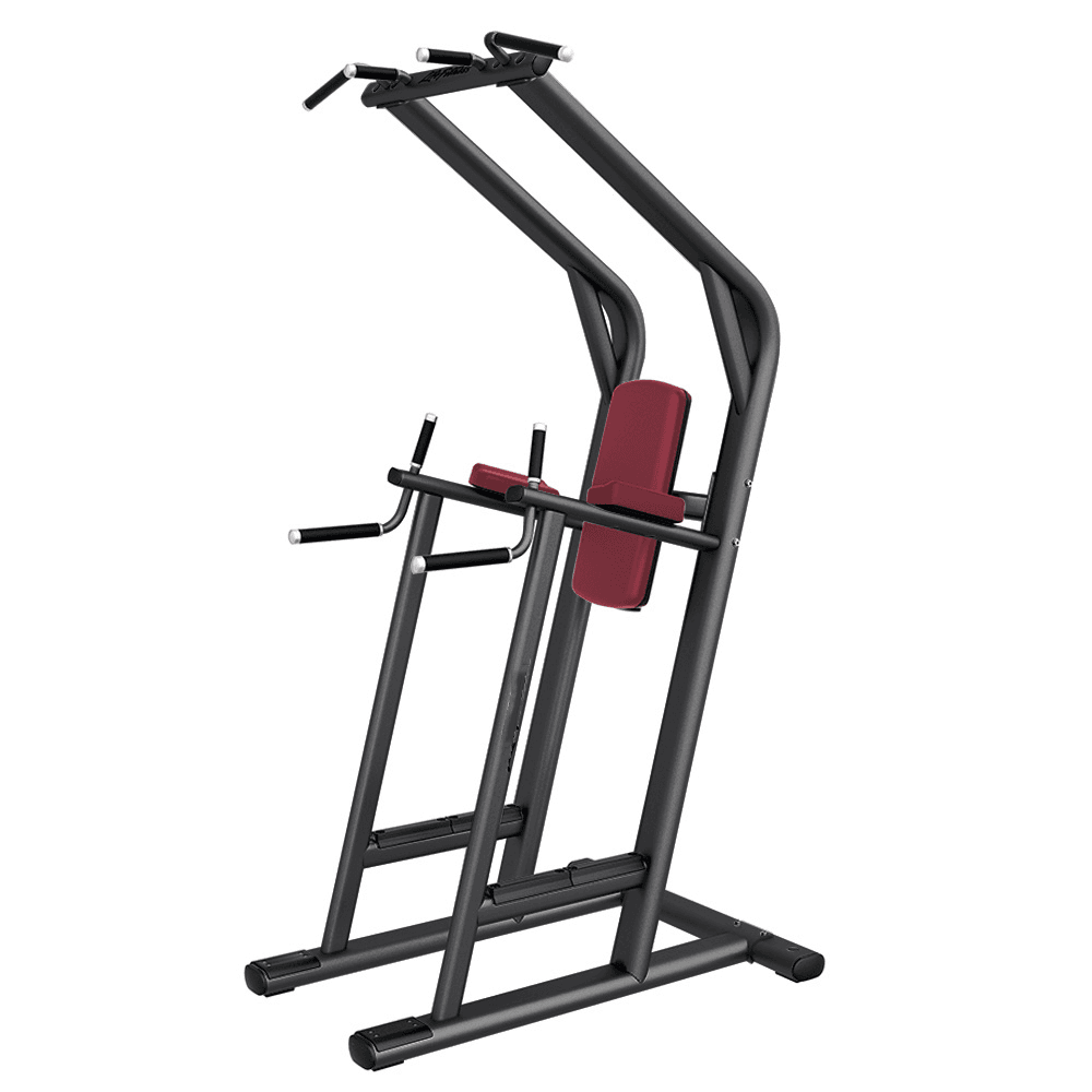 UL-5038 Chin-Dip Leg Raise
